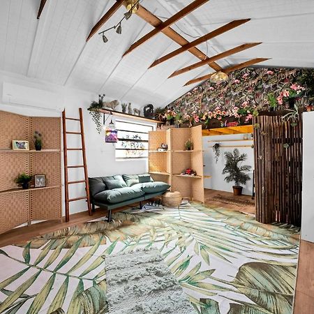 Zen Jungle House By Busch Gardens Sleeps 12 With Outdoor Games & Detached Play Space! تامبا المظهر الخارجي الصورة