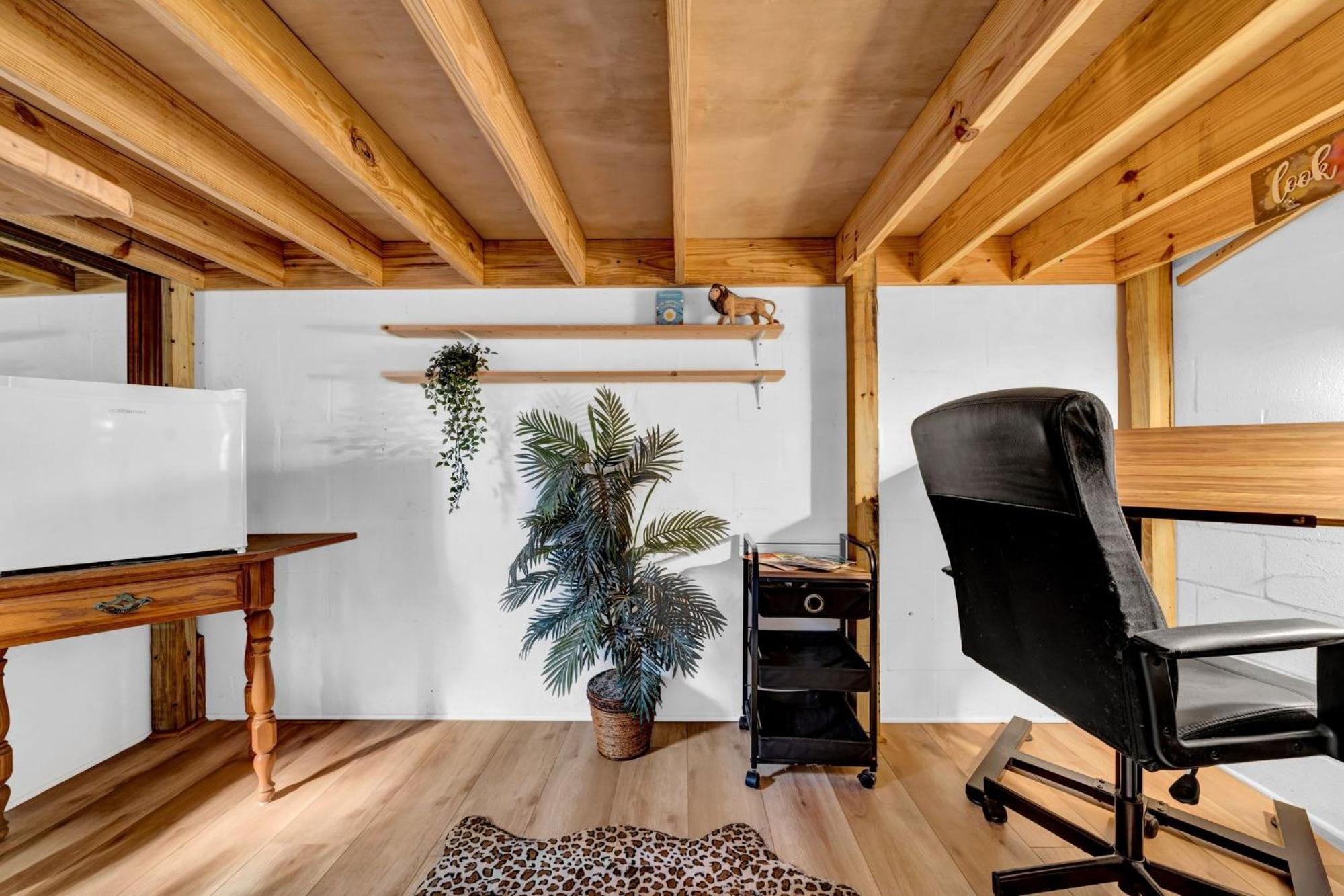 Zen Jungle House By Busch Gardens Sleeps 12 With Outdoor Games & Detached Play Space! تامبا المظهر الخارجي الصورة